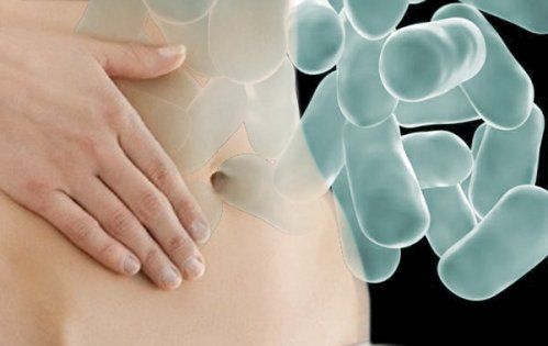 probioticos