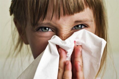 antialergicos para nariz